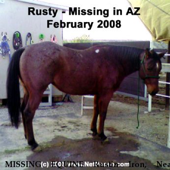 MISSING EQUINE Rustin Iron, Near Prescott, AZ, 85373
